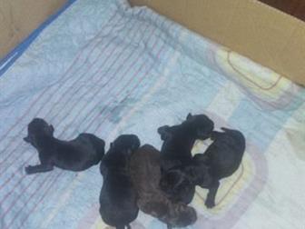    4        ,    ,    ,  