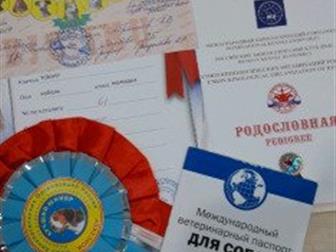    4        ,    ,    ,  