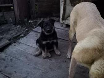          ( - 3,5 ),   , ,  ,   ,   