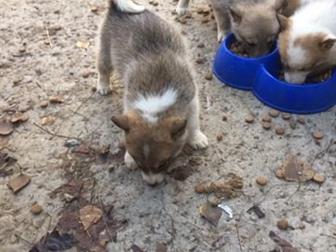   ,   ,    ,    03, 09, 19  4 ,  