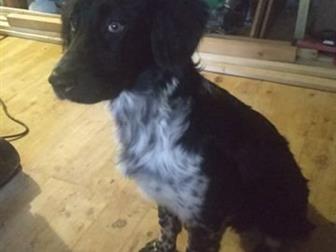   ,  ,7, : ,  ,,,,    ,  