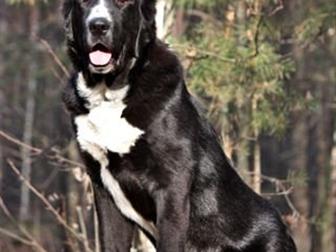   ,   52  ,  7 ,  , , ,   ,   00 ,    ,  ,  