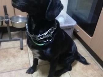  2,5  ,   !    ,   (),      !!!  