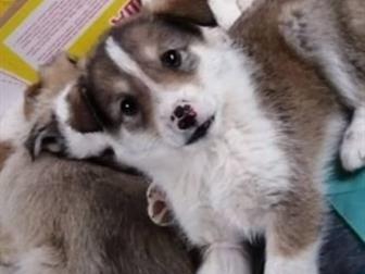 10      ,         ,       !!  