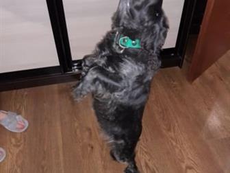  ,     ,  ,   3 ,  , ,   ,   ,   ,     