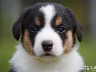  ,      3, 5 ,  ,   ,    ,  , ,   