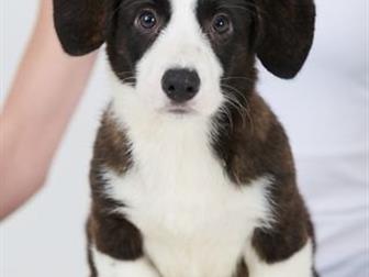  ,      3, 5 ,  ,   ,    ,  , ,   