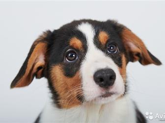  ,      3, 5 ,  ,   ,    ,  , ,   