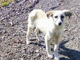 10 ,  ,   ,    ,      ,       