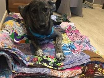 ,     ,  1 ,  ,         ,    ,      