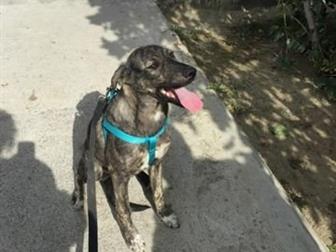 ,     ,  1 ,  ,         ,    ,      