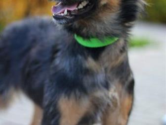 ,  1 ,    ,          ,     !!       ,  