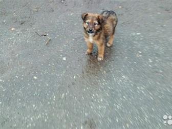  4    , : 1,5 , 3  ,  ,   ,      ,  