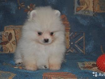         ,   4, 10, 2019, ,   ,   ,     ,  