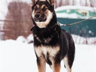 , 1,2 , , ,           (      ),  ,  