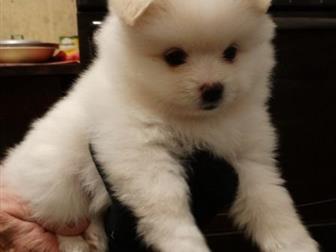      ,   27  2019 ,  5   1 ,   - ,   ,    ,  