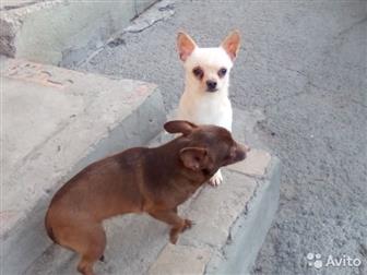   ,     ,   ,    ,   ,  3 ,  ,  