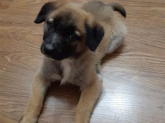      2-3 ,       ,     1 ,   ,  