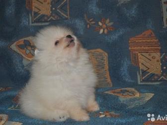         (   )     ,   4, 10, 2019, ,   ,   