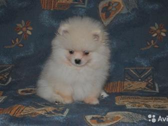         (   )     ,   4, 10, 2019, ,   ,   