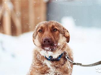 ,  ! -, ,       ,  ,         !,,  ,    