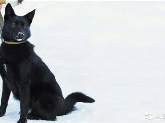    ))      )      ,   2   6 , , , ,  