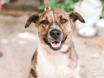 , , ,  ,   -      !  ,  ,     ,  