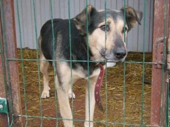 ,  !    ,  ,   ,      -      !     