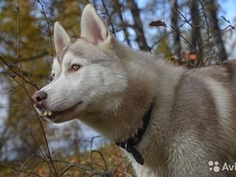  ,   ,  9  ,   ,       ,     !  