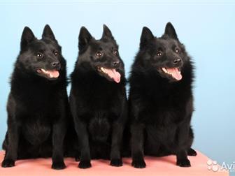   , 5-8 ,   ,,         ,     