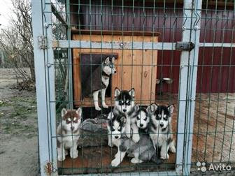  ()              , 08, 10, 19,     