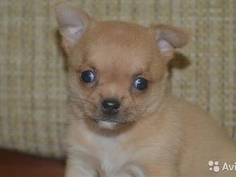 - ,   ,    , ,  -,    ,     ,     :    