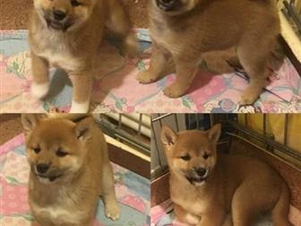      ,  , , , ,,     ,    ,  