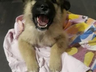 !!!    1,5   ,   ,     ,        ,      