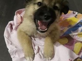 !!!    1,5   ,   ,     ,        ,      