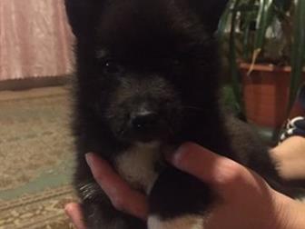   - ,        ,       ,    