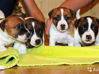        ,      ,   ,     5 ,   