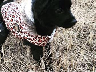  ,   4 ,   ,    ,     ,    ,  ,   