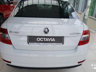 : Skoda Octavia Active 1, 6 MPI (110 , , ) , -5 :  Pure    : ,    