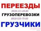  ,      , 8928-121-49-80, 8918-525-75-00 32881710  --