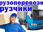  foto  , ,   33377414  --
