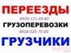    ,       , 8928-121-49-80, 8918- 525-75-00, 33677298  --