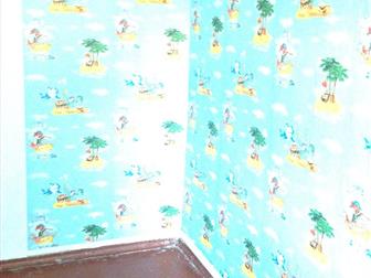 ����� ����  ���, �-� ��� 33141279 � �������-��-����