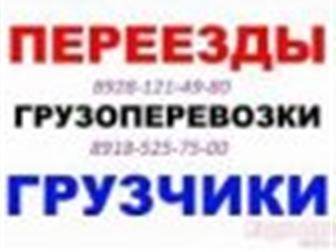    ,       , 8928-121-49-80, 8918- 525-75-00, 33677298  --