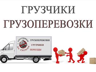   ,     33914399  --