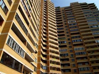 ����� ���������� ������ ����� ���� 1-������ ��, �������, ��, ������� 34476619 � �������-��-����