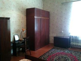      3-,  ,  , ,  34513699  --