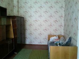       3-,  ,  , ,  34513699  --