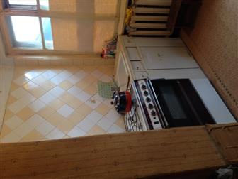 ������ ���������� ������ ����� 1/2 ����, ���, �������� 34524039 � �������-��-����