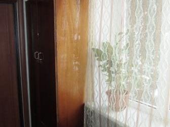 ����������� ����������� ������ ����� ���� ����� ����, ����� ���������, ��, 12 ������� 34699913 � �������-��-����